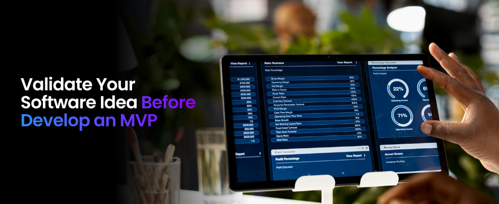 Validate Your Software Idea Before Develop an MVP
